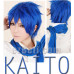 Cosplay Wig -  Vocaloid Kaito